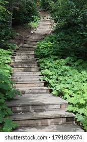 Endless Wooden Staircase Surrounded By Greenery