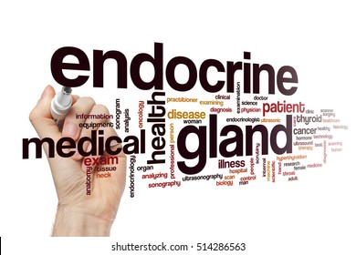 Endocrine Gland Word Cloud