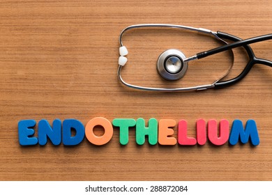 Endothelium  Colorful Medical Word And Stethoscope On The Wooden Background