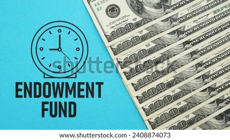 Endowment fund is shown using a text