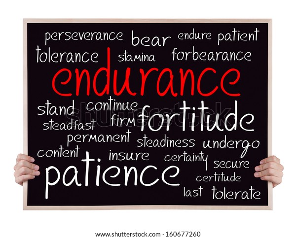 endurance synonym