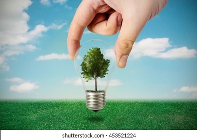 Energy Efficiency Concept. Abstract Composition With Tree In Bulb On Nature Background