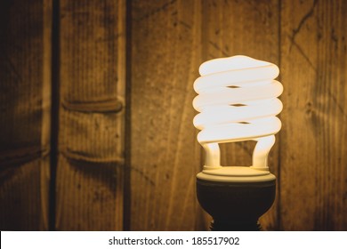 Energy Efficient Light Bulb