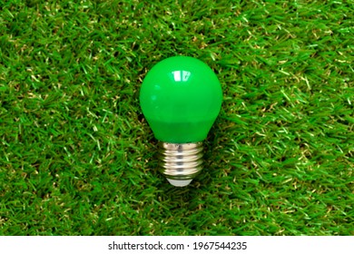 Energy efficient light bulb lying on grass
