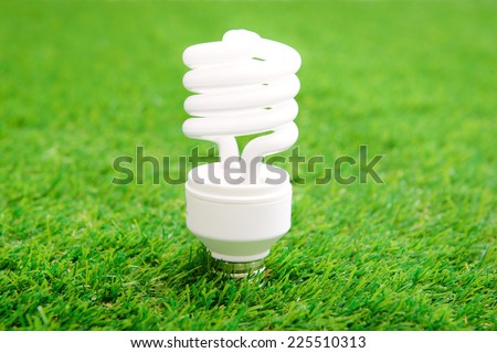 Energy efficient light bulb on green grass