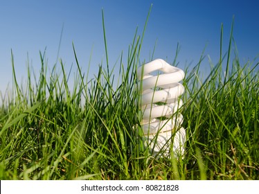 Energy Saving Lamp In Green Grass