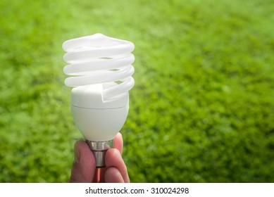 Energy Saving Light Bulb In Hand