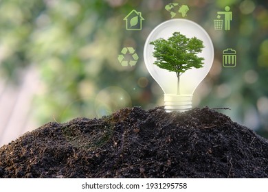 Energy Saving Light Bulb And Save World Concept, Sustainable Development. Ecology Concept