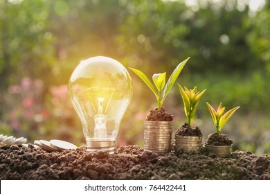 Energy saving light bulb and tree growing on stacks of coins on nature background. Saving, accounting and financial concept.