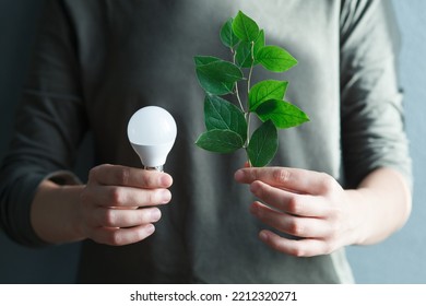 Energy Saving Lightbulb And Green Leaves. Save Energy, Green Eco Home Concept