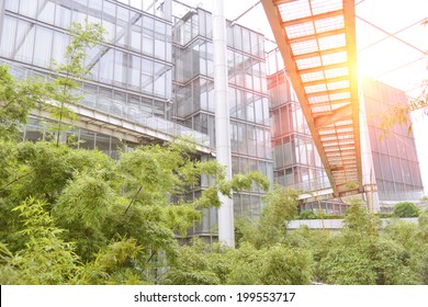 Energy Saving Office Building With Green Garden.