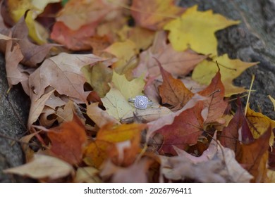 Engagement Photo Shoot In Autumn