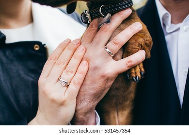Engagement ring and dog.