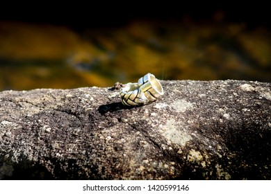 Engagement rings on a stone in a sunbeam