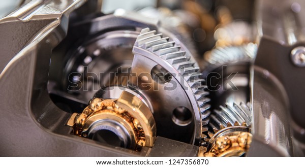 engine gear wheels, closeup
view