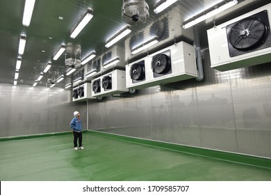 Engineer checking newly cold storage room with refrigerator machine before strat runing production line at the factory