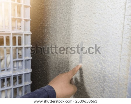 An engineer is checking the thickness of the feather dust on the hatching machine using his index finger.