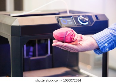 The engineer demonstrates the heart printed on a 3d printer