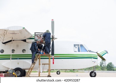 Engineer maintaining Engine Airplane