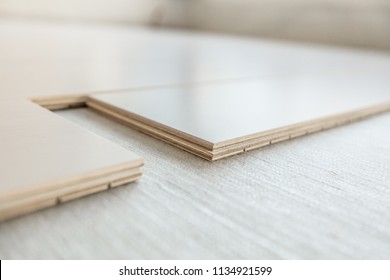 Engineered wood floor installation with subfloor membrane in condo. Maple hardwood flooring planks closeup showing composite plywood layers. Remodeling home improvement concept. - Shutterstock ID 1134921599