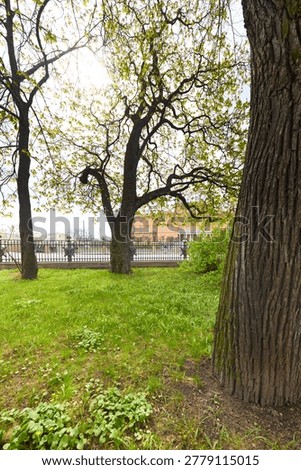 Engineering castle across the Moika River with a beautiful embankment on a sunny May morning, Russia, St.Petersburg