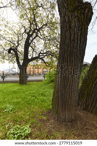 Engineering castle across the Moika River with a beautiful embankment on a sunny May morning, Russia, St.Petersburg