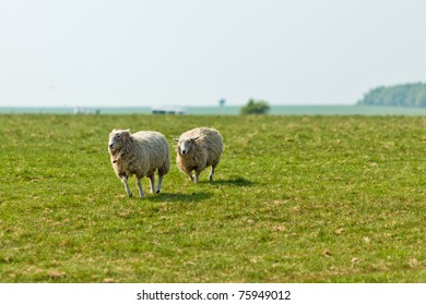 England Country Side Landscape