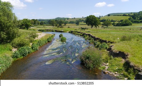 England Countryside. The River Otter Flowing Through Devon Pastures In The UK