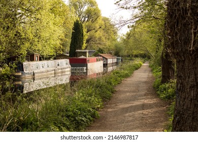England - Inland Navigation. Barge moored on a stretch of the Basingstoke Canal, England, United Kingdom.