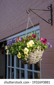 England, UK. 2021.  Hanging Basket In Bloom With Winter Flowers On The Wall Of A House In Southern England.