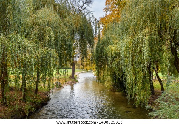 Englischer Garten Autumn Munich Germany Nature Parks Outdoor