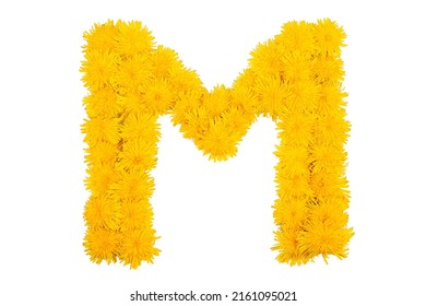 The English alphabet of dandelion flowers. Letter M