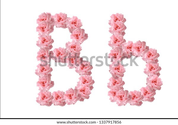 English Alphabet Flowers Pink Roses Letter Stock Photo 1337917856