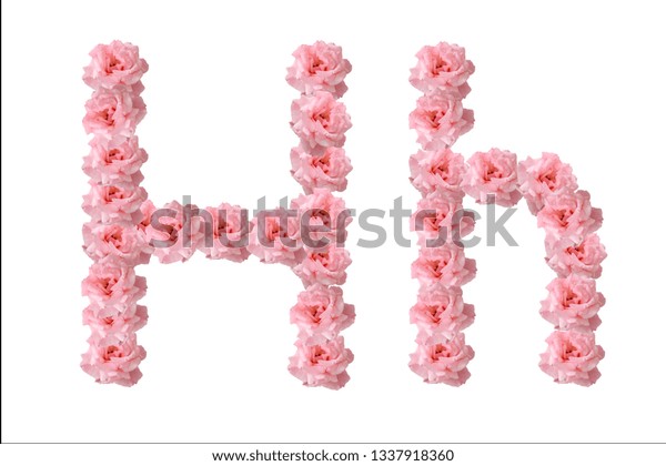 English Alphabet Flowers Pink Roses Letter Stock Photo 1337918360 ...