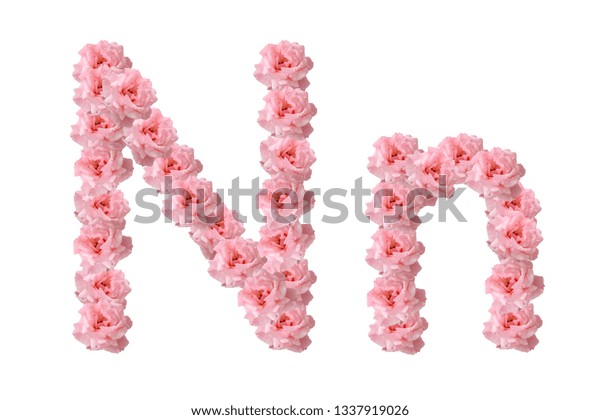 English Alphabet Flowers Pink Roses Letter Stock Photo 1337919026 ...