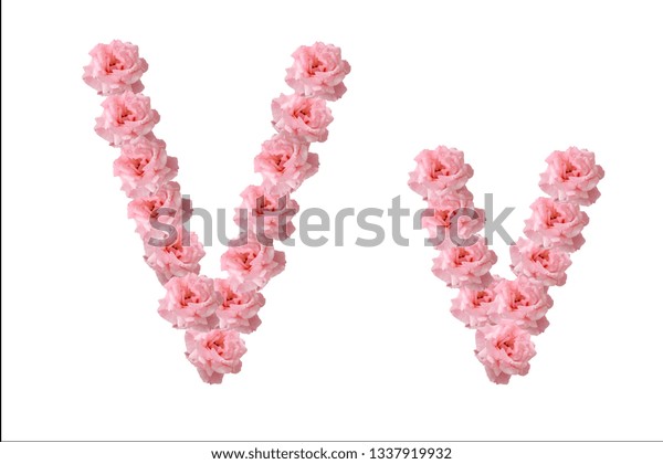 English Alphabet Flowers Pink Roses Letter Stock Photo 1337919932 ...