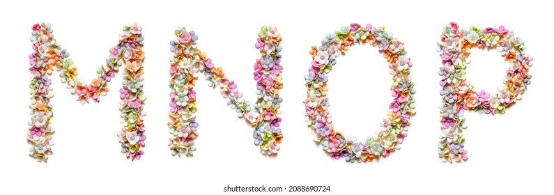English alphabet m, n, o, p made of flowers. Set of flora font. Spring summer flower font.