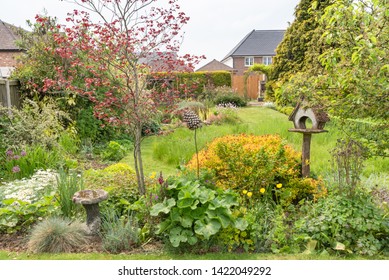 An English Back Garden Full Of Plants