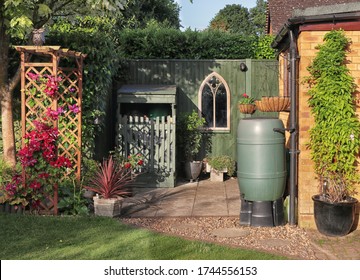 English Back Garden With Shed And Arch Covered In Clematis