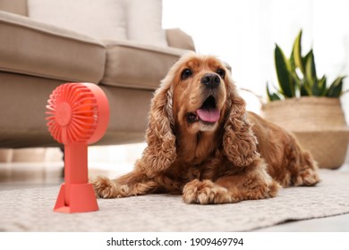 English Cocker Spaniel Enjoying Air Flow From Fan On Floor Indoors. Summer Heat