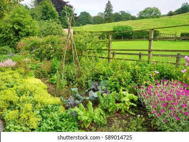 An English Cottage Garden