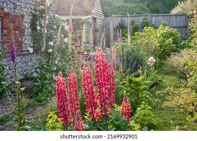 English Country Garden With Cottage Garden Plants In Summer And A Flint Wall