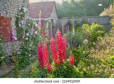 English Country Garden With Cottage Garden Plants In Summer And A Flint Wall