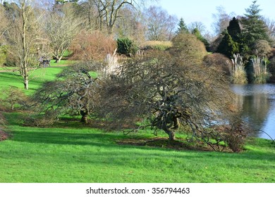 An English Country Garden In Winter. 