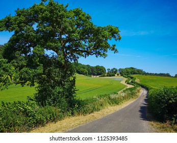 English Countryside Road 