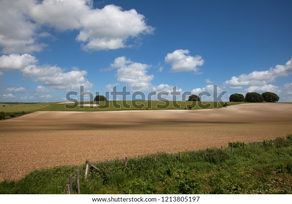 English Farmland Summer Stock Photo Edit Now