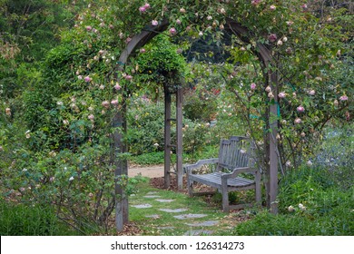 English Garden After The Rain At Descanso Gardens