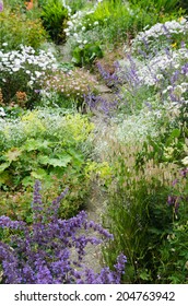 English Garden Border Stock Photo 204763942 | Shutterstock