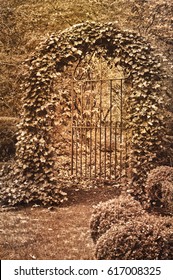 English Garden With Ornate Wrought Iron Gate Covered With Ivy In Sepia Tone Effect/Wrought Iron Gate Covered In Ivy With Sepia Tone Effect