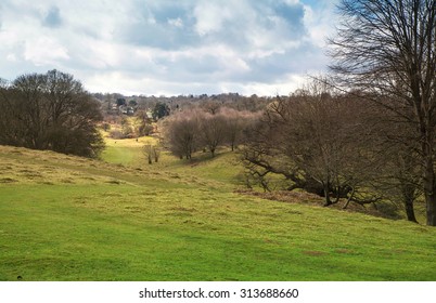 English landscape, forest and fields in spring. Sussex - Shutterstock ID 313688660